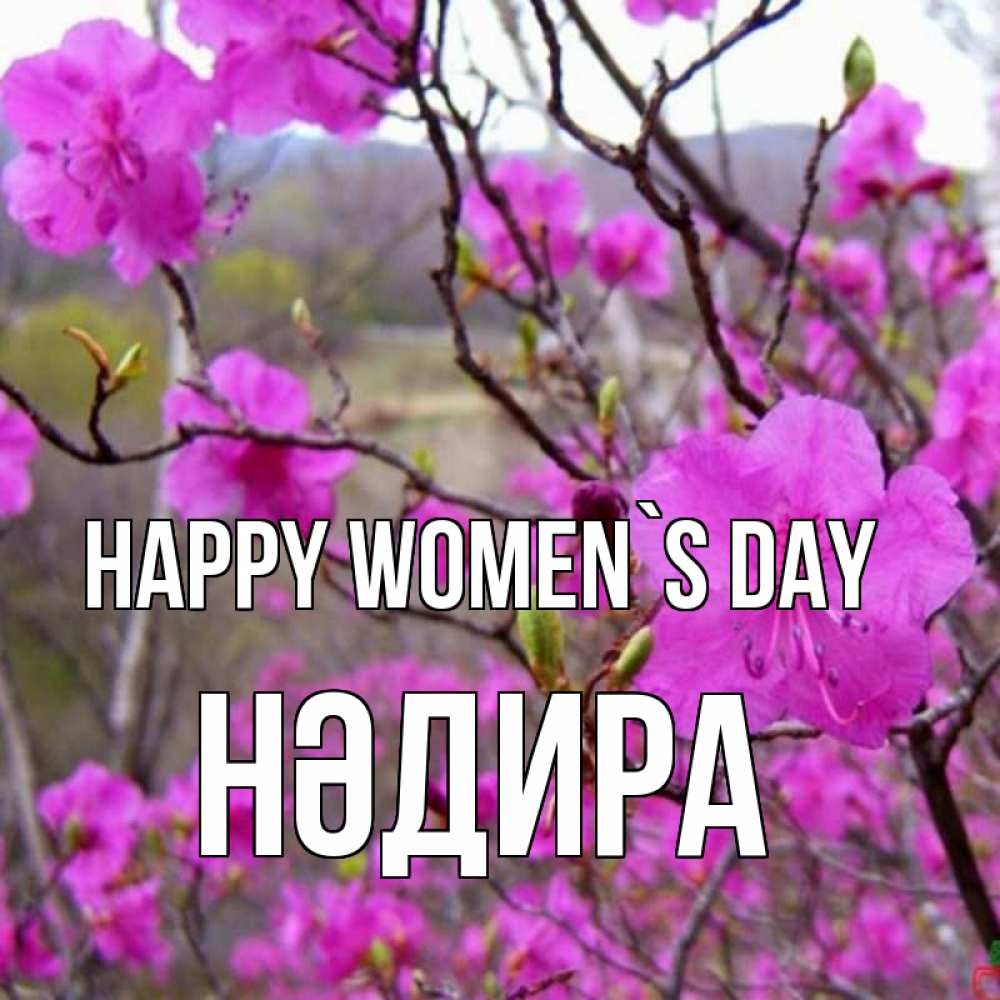 Greetings card с именем, НӘДИРА happy women`s day международный женский день Greetings with text for free download 